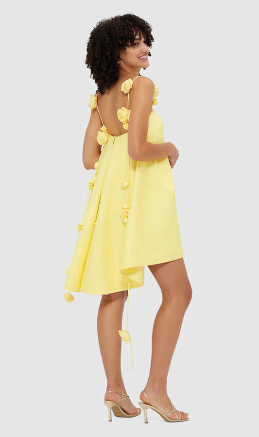 Leo Lin Fiona Rose Mini Dress - Size 8